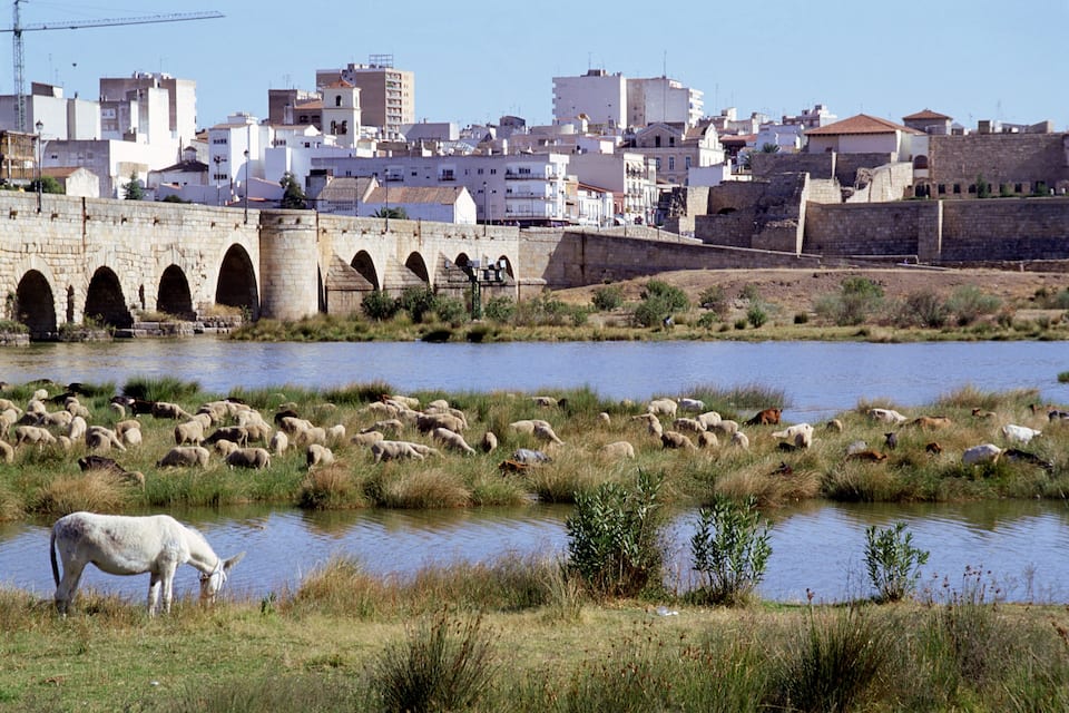 Un puente de piedra sobre un río, un rebaño de ovejas pastando y un paisaje urbano al fondo.