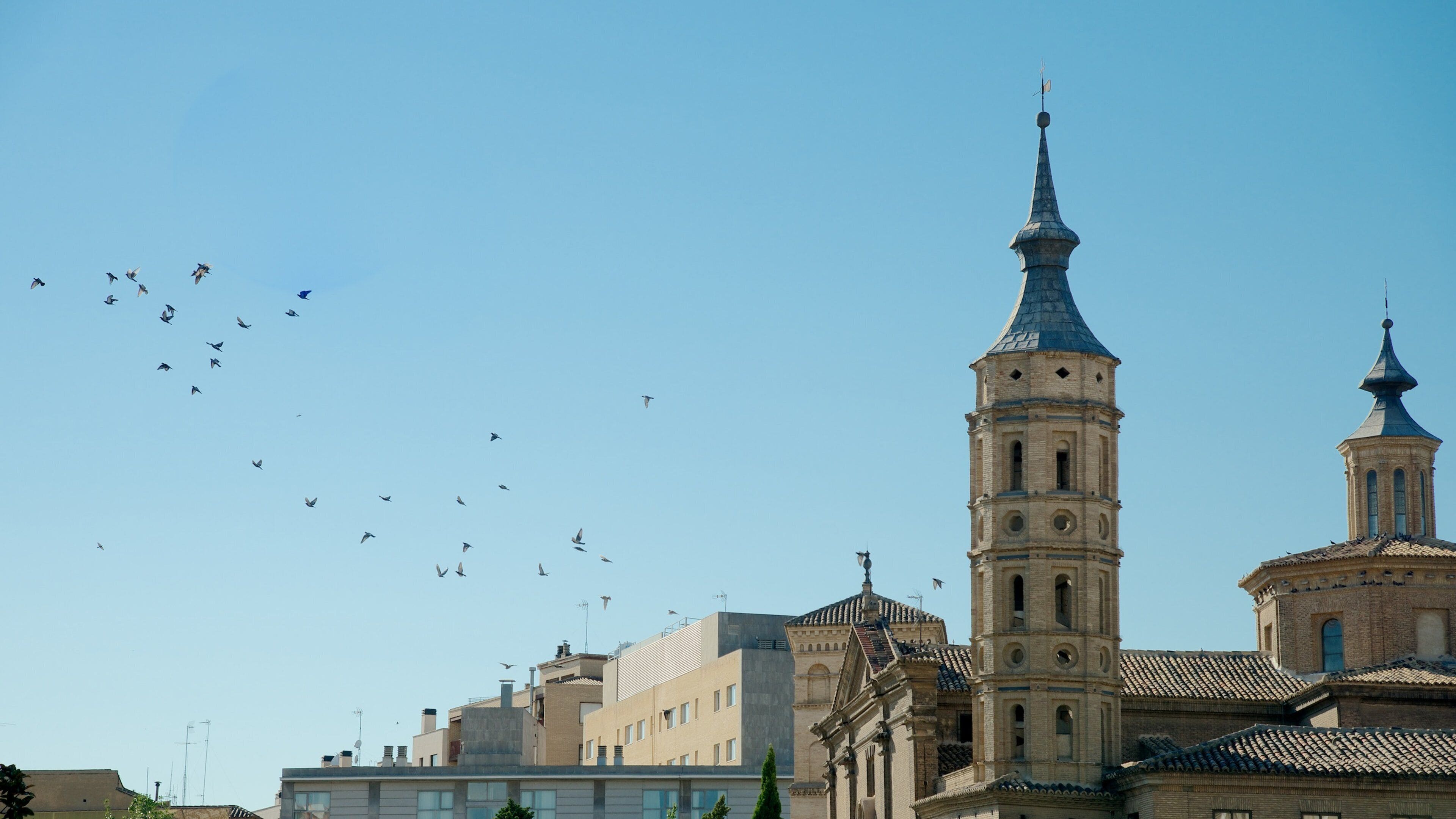 플라자 델 필라르 이 포함 거리 풍경, 광장 과 도시