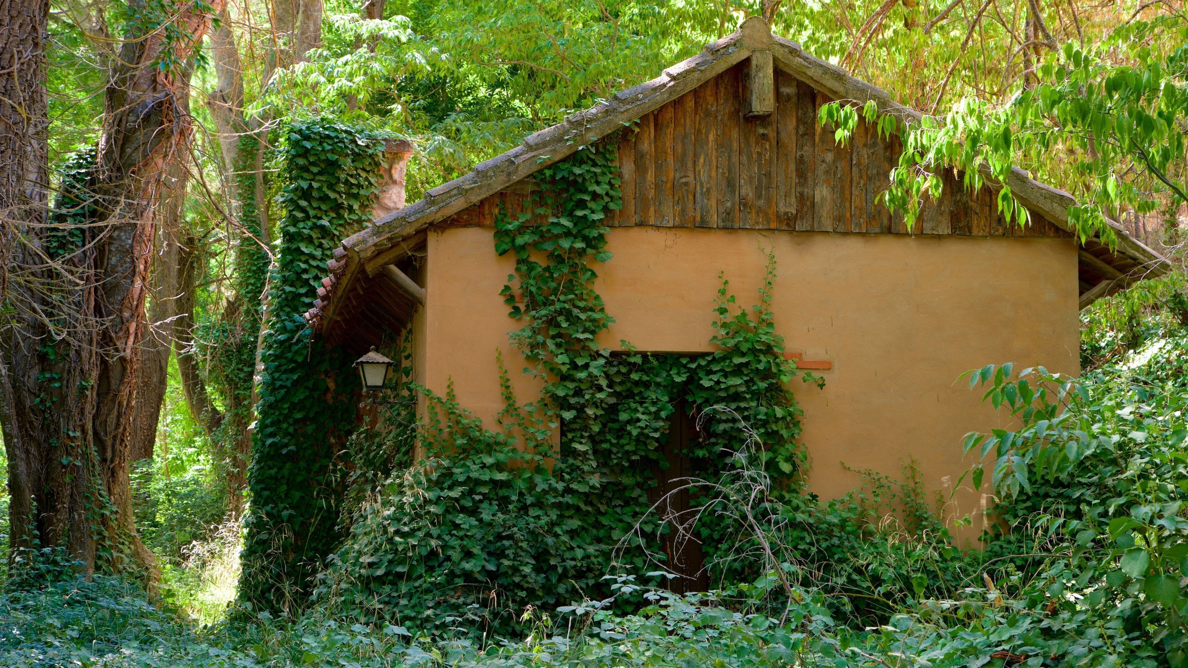 El Monasterio de Piedra
