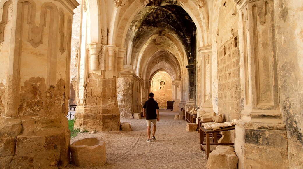 El Monasterio de Piedra