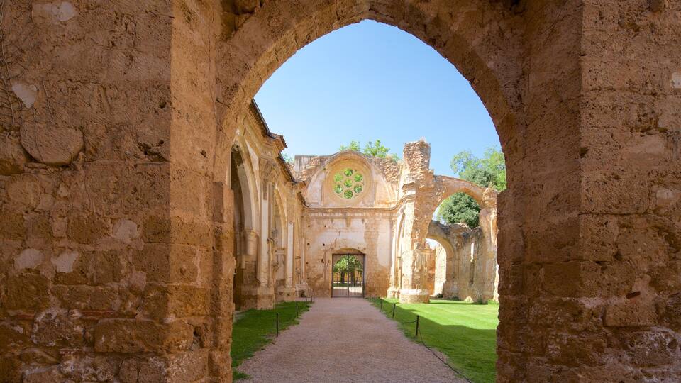 An ancient stone archway leading to a historic building with a green emblem on the facade.