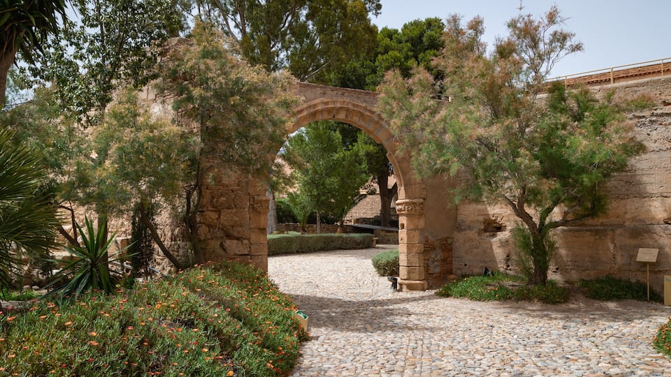 Alcazaba showing a park and wildflowers
