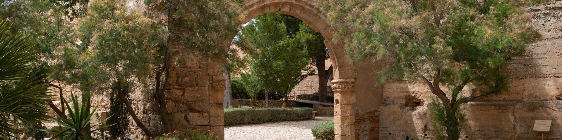 Alcazaba showing a park and wildflowers