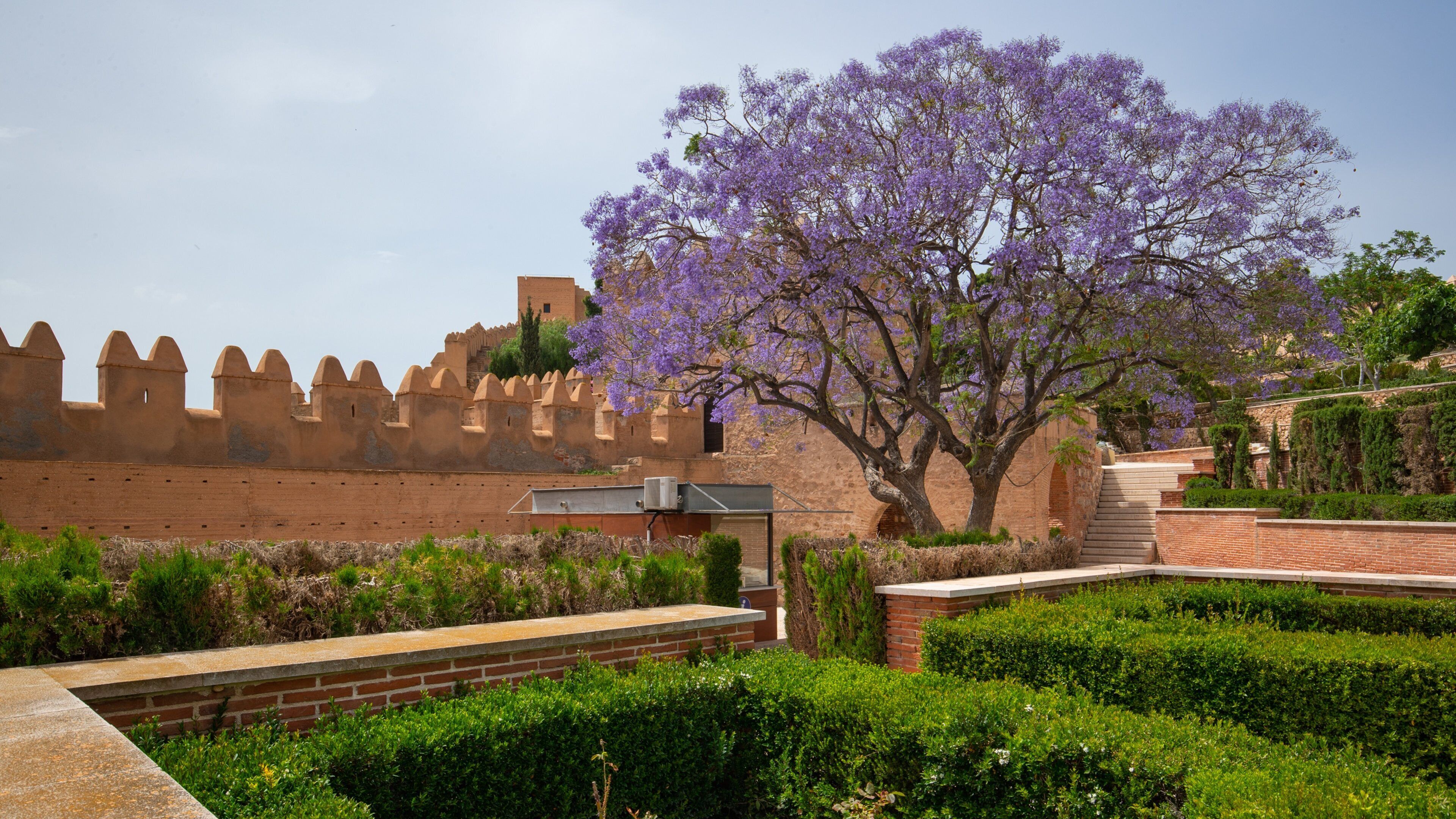 Alcazaba which includes heritage elements, a park and wildflowers
