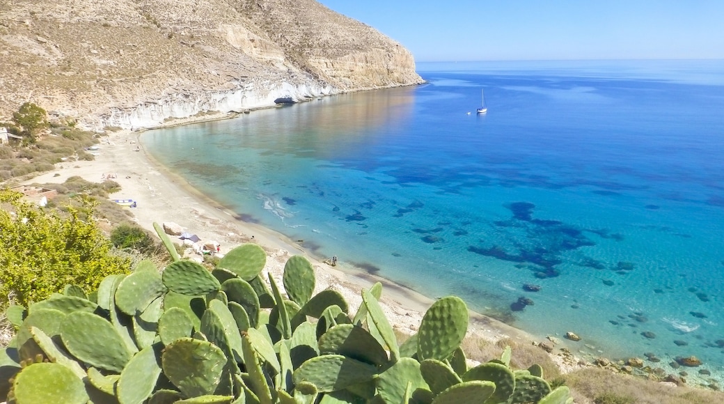 Cala San Pedro. Beach in Cabo de Gata, Almeria. Andalusia, Spain
