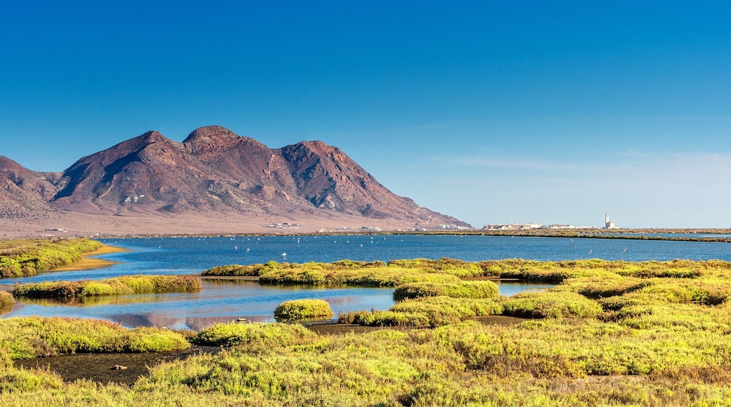 Cabo de Gata in Andalusia