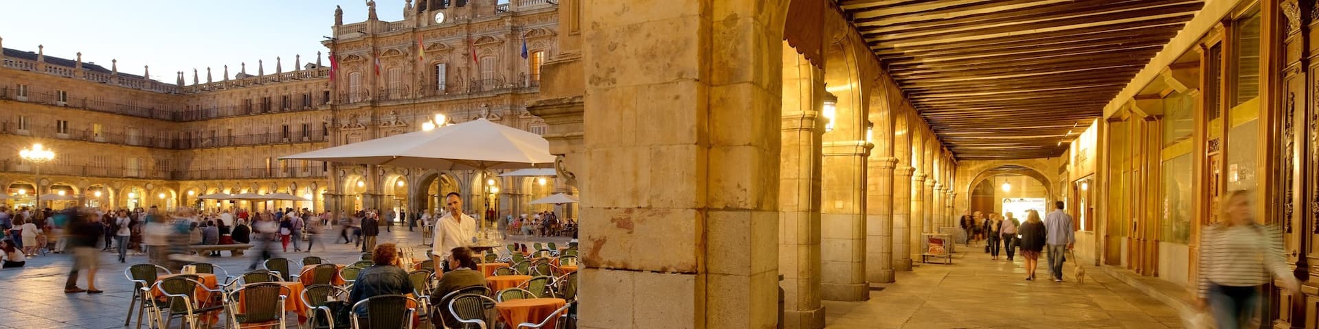 Plaza Mayor showing a square or plaza, outdoor eating and heritage elements