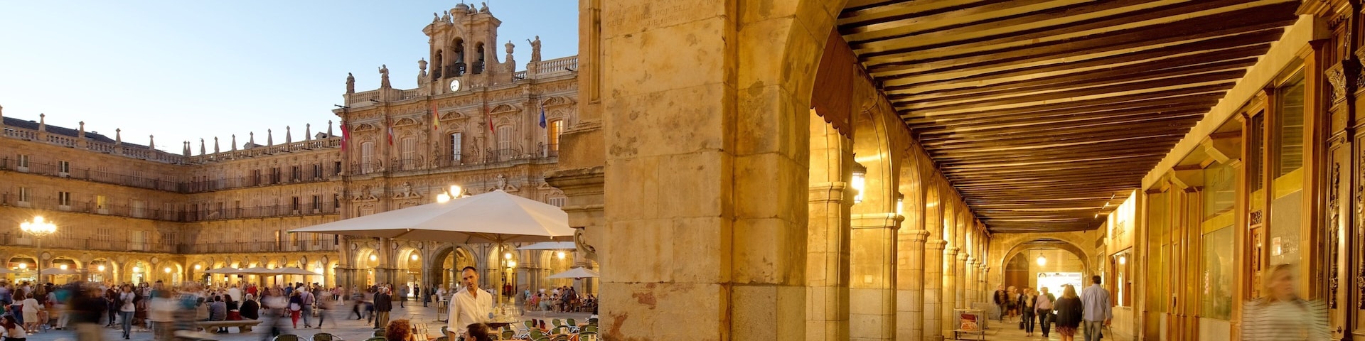 Plaza Mayor showing a square or plaza, outdoor eating and heritage elements