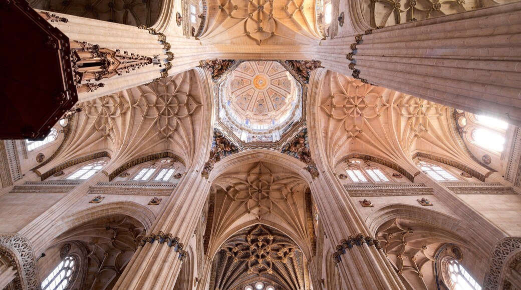 Katedralen i Salamanca