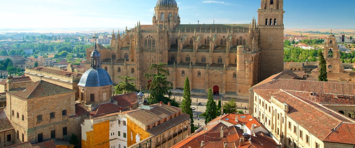 Cathédrale de Salamanque