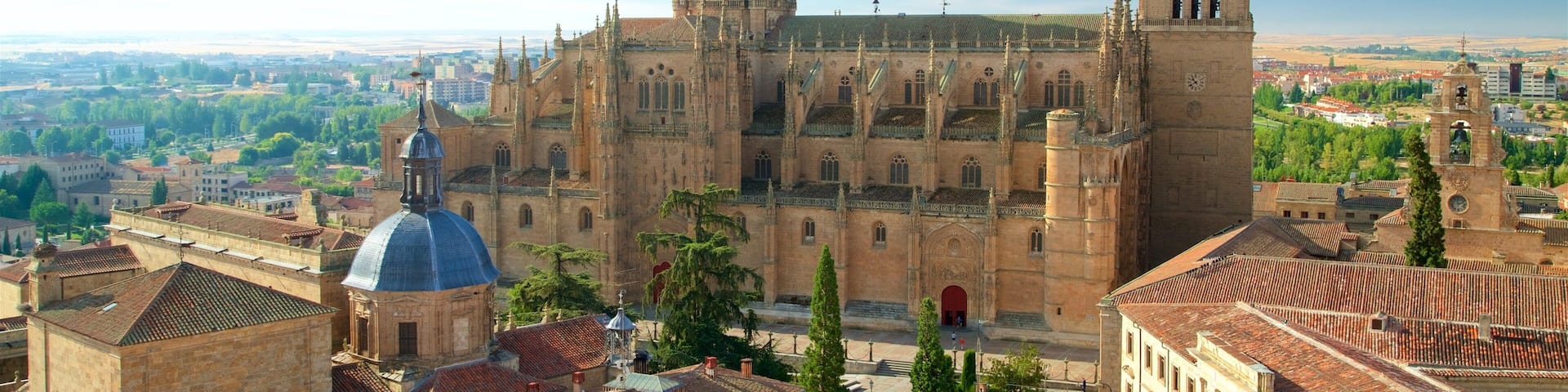 Neue Kathedrale von Salamanca