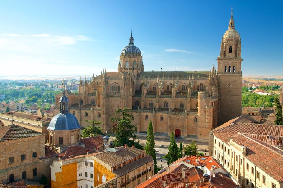 A historic cathedral with a large dome and bell tower, surrounded by urban buildings and greenery.