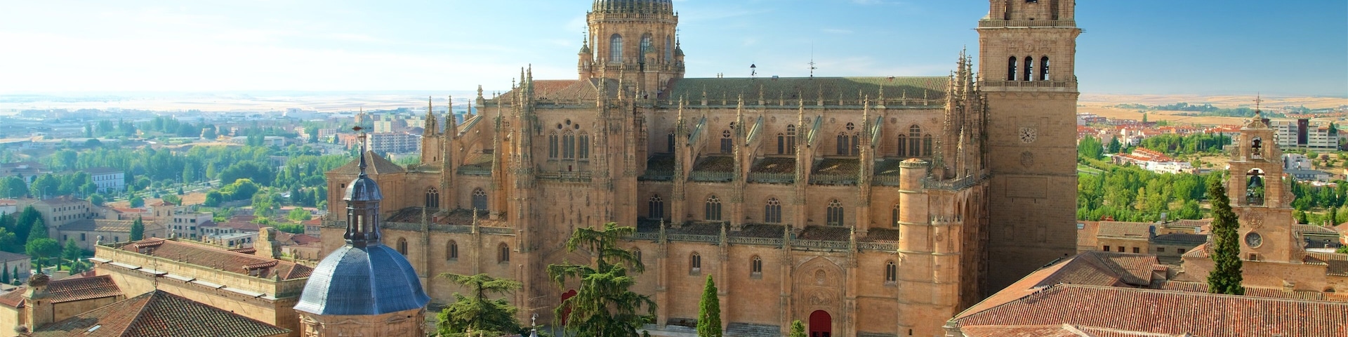 Cathedral of Salamanca