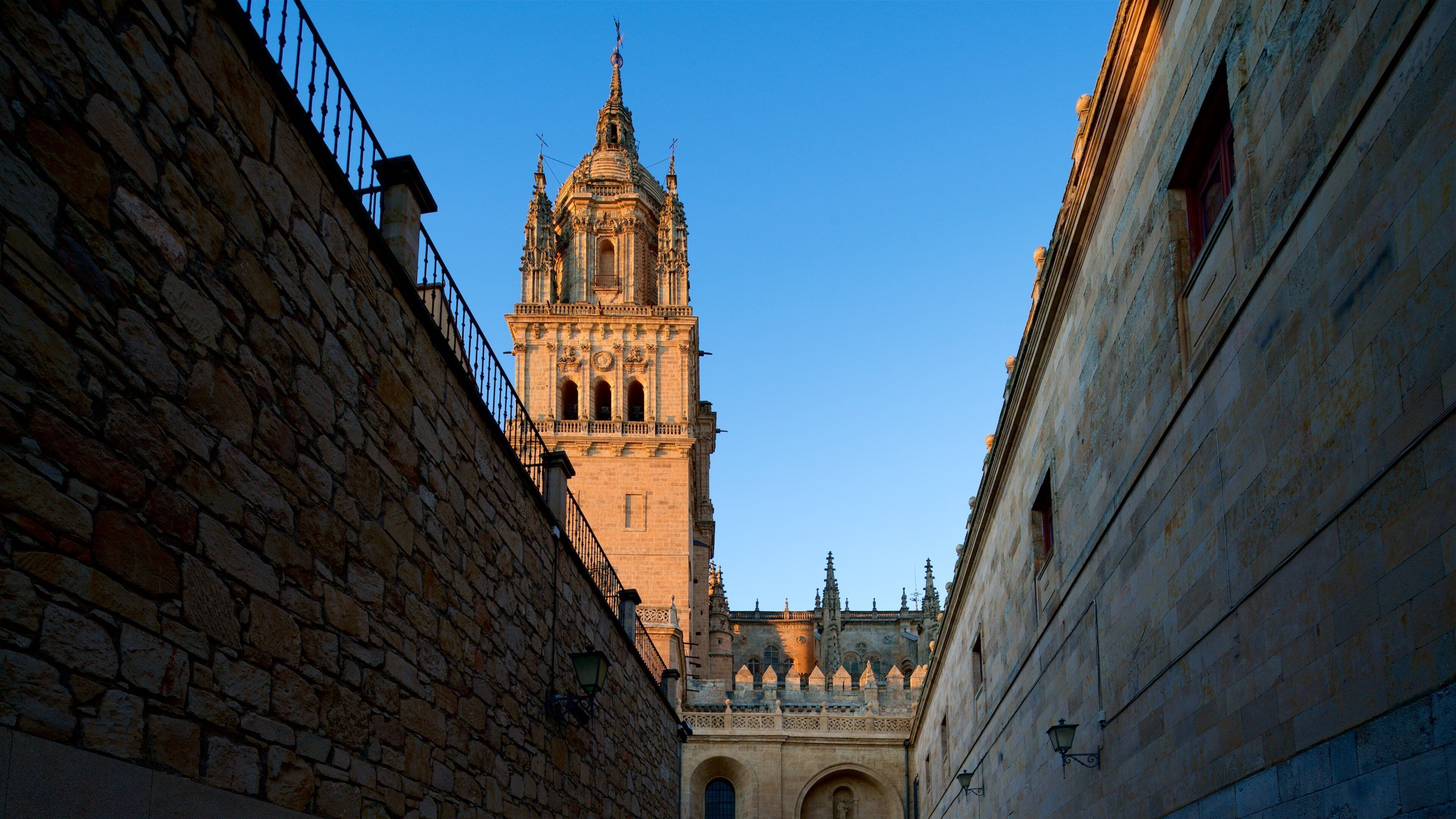 Old Cathedral of Salamanca