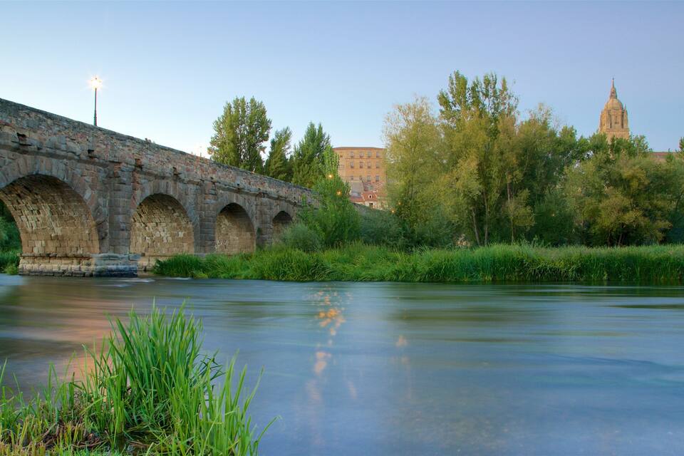Un pont de pierre enjambant une rivière, avec de la végétation et un bâtiment en arrière-plan.