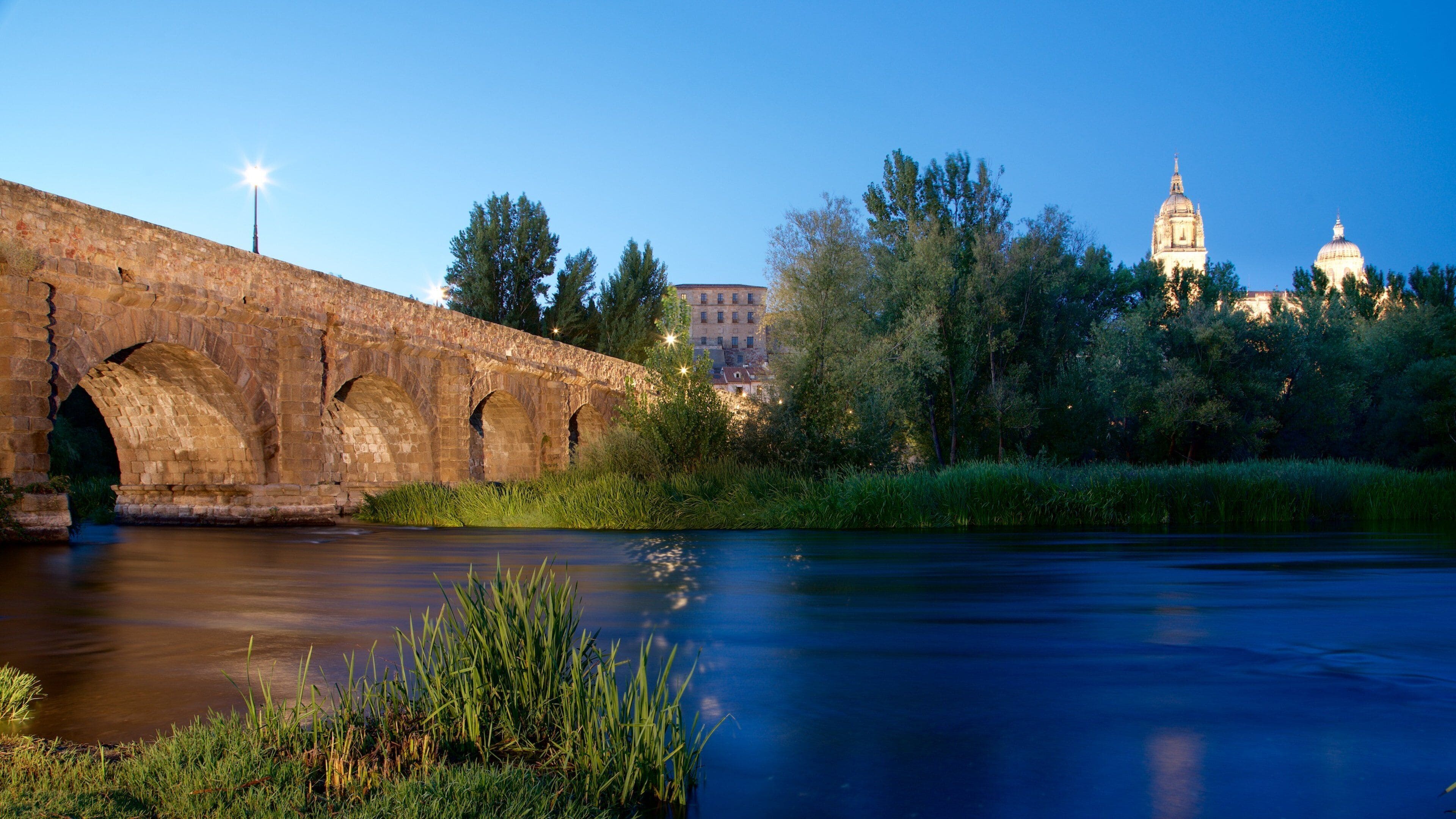 Un puente de piedra sobre un río, con árboles y un edificio con cúpulas al fondo.