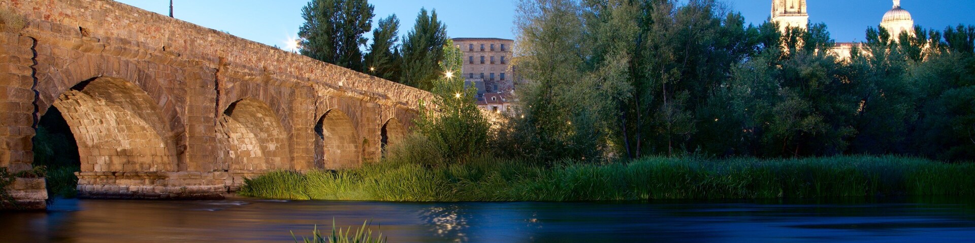 Uma ponte de pedra sobre um rio, com árvores e um edifício com cúpulas ao fundo.