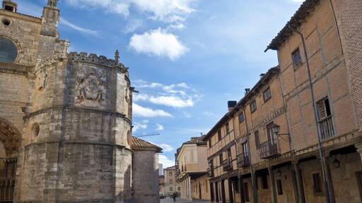 Cathedral of Burgo de Osma, Soria, Spain. It is a Gothic temple built on an area previously occupied by a Romanesque Church. The building started in 1232 and was completed in 1784