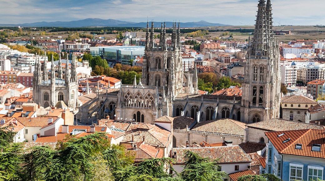 Cathédrale Sainte-Marie de Burgos