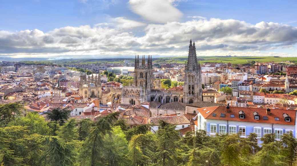 Cathédrale Sainte-Marie de Burgos