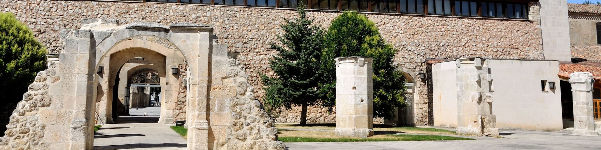 DC9B26 Burgos University which is housed in the King's Hospital - was founded in 1195