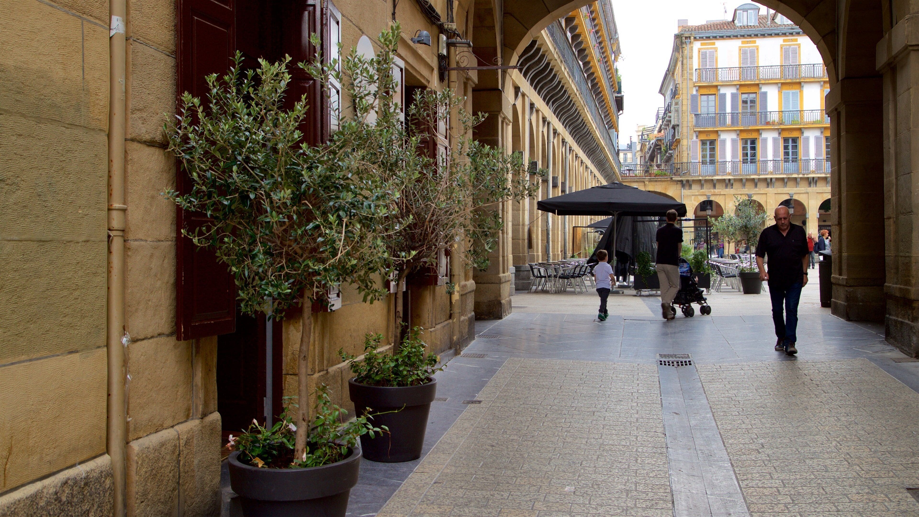 Plaza de la Constitución