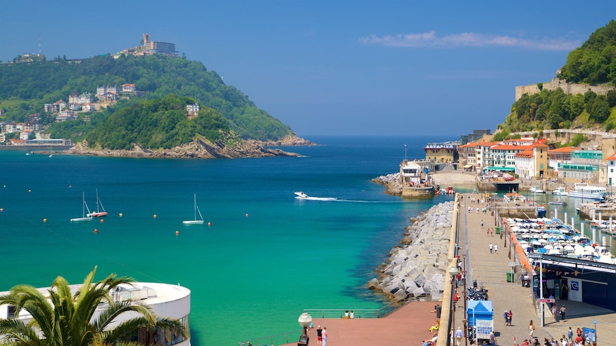 Ayuntamiento de San Sebastián mostrando vista general a la costa y una ciudad costera