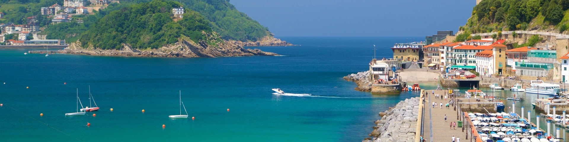 San Sebastian City Hall showing a coastal town and general coastal views
