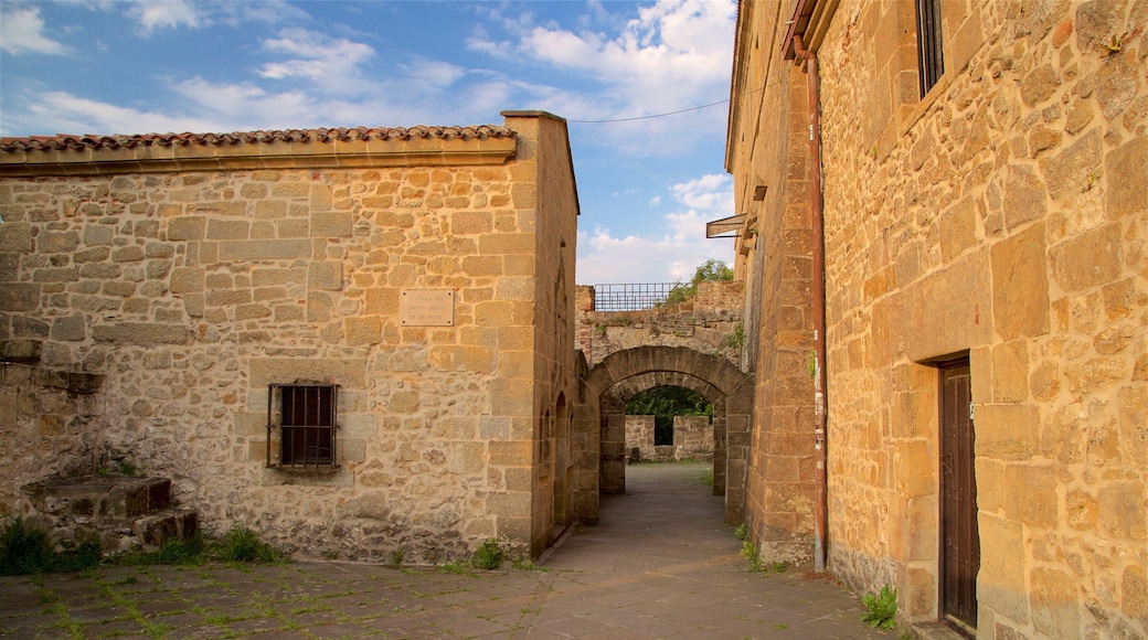 Castillo de la Mota showing heritage elements