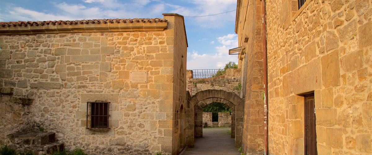 Castillo de la Mota ofreciendo elementos del patrimonio
