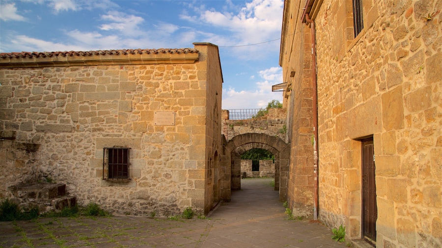 Castillo de la Mota ofreciendo elementos patrimoniales