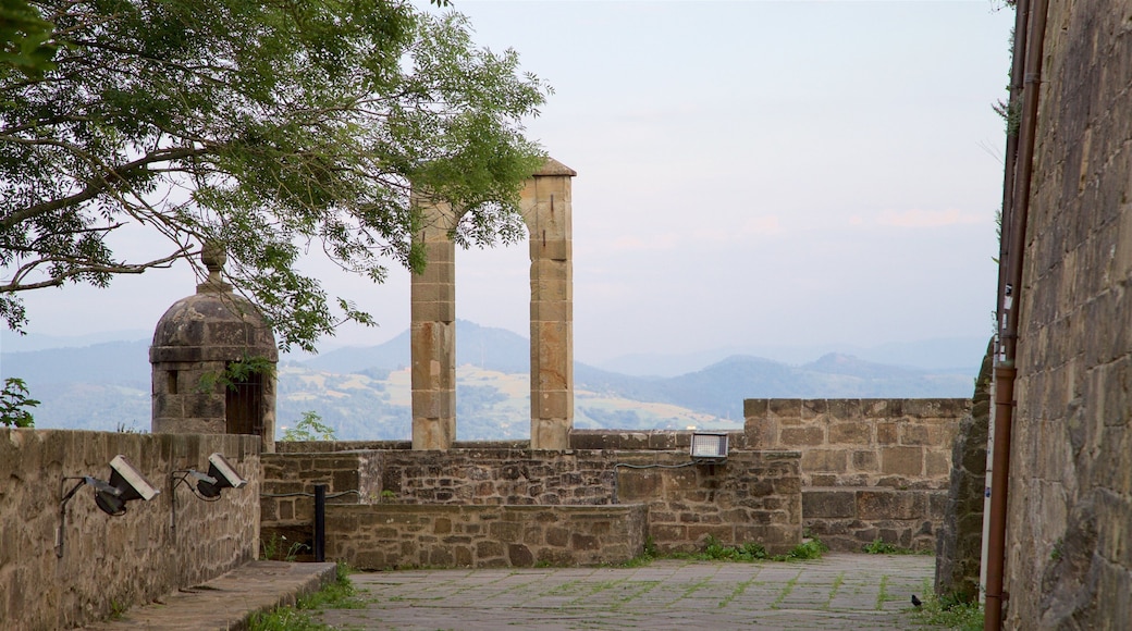 Castillo de la Mota showing heritage elements and tranquil scenes