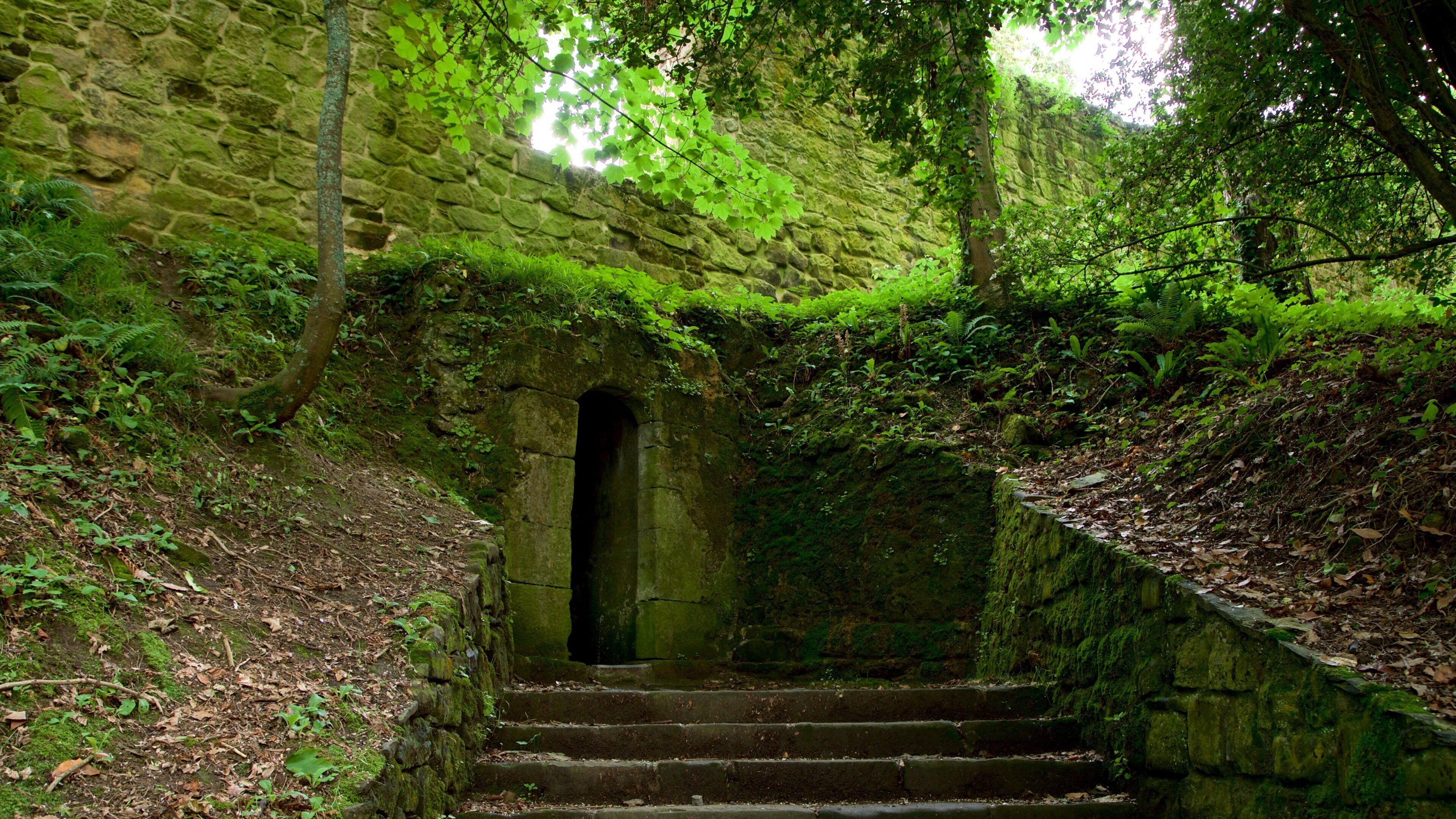 Castillo de la Mota which includes heritage elements and forests