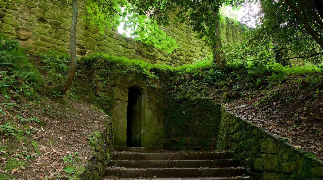 Castillo de la Mota which includes heritage elements and forests