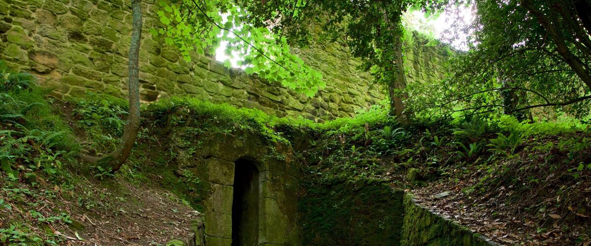 Castillo de la Mota which includes heritage elements and forests