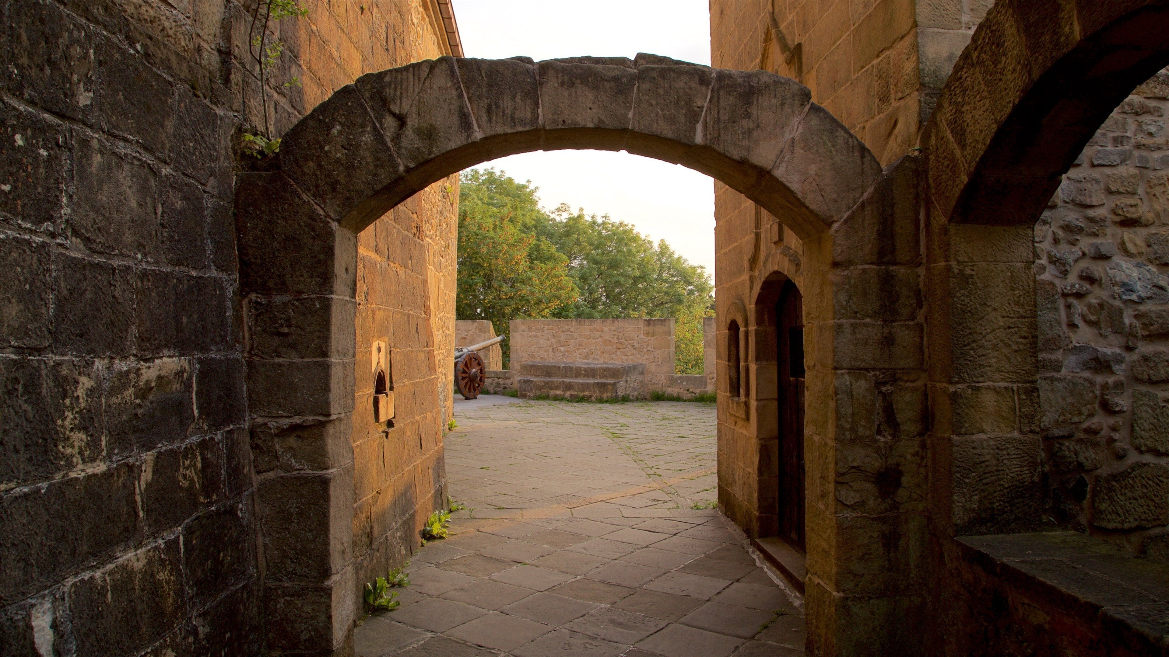 Castillo de la Mota showing heritage elements