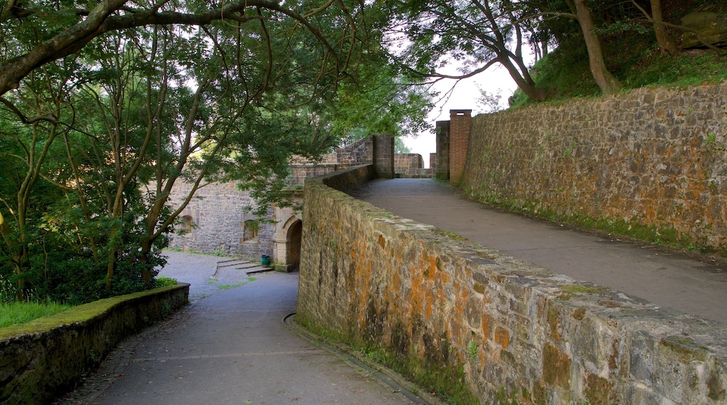 Castillo de la Mota featuring heritage elements