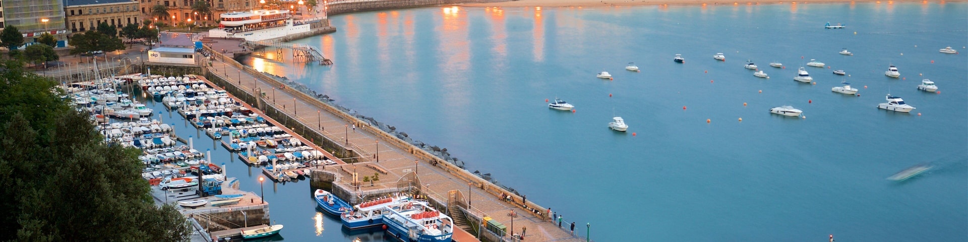 Monte Urgull featuring landscape views, a coastal town and a city