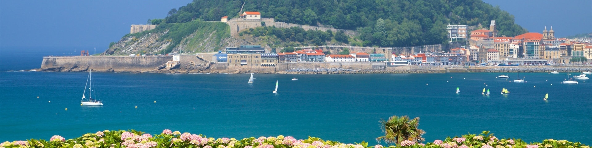 Miramar Palace showing general coastal views, flowers and a coastal town
