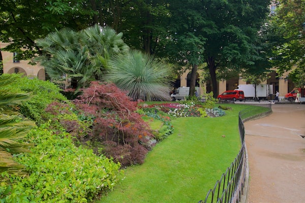 Plaza Gipuzkoa welches beinhaltet Blumen und Garten