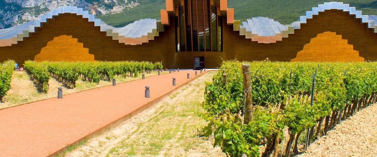 Some amazing  architecture at this bodega