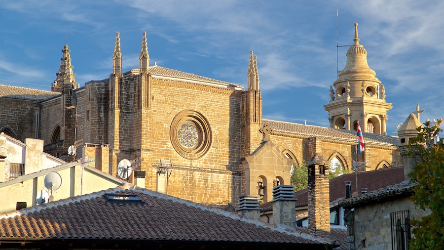 Pamplona Cathedral showing a city, heritage elements and heritage architecture