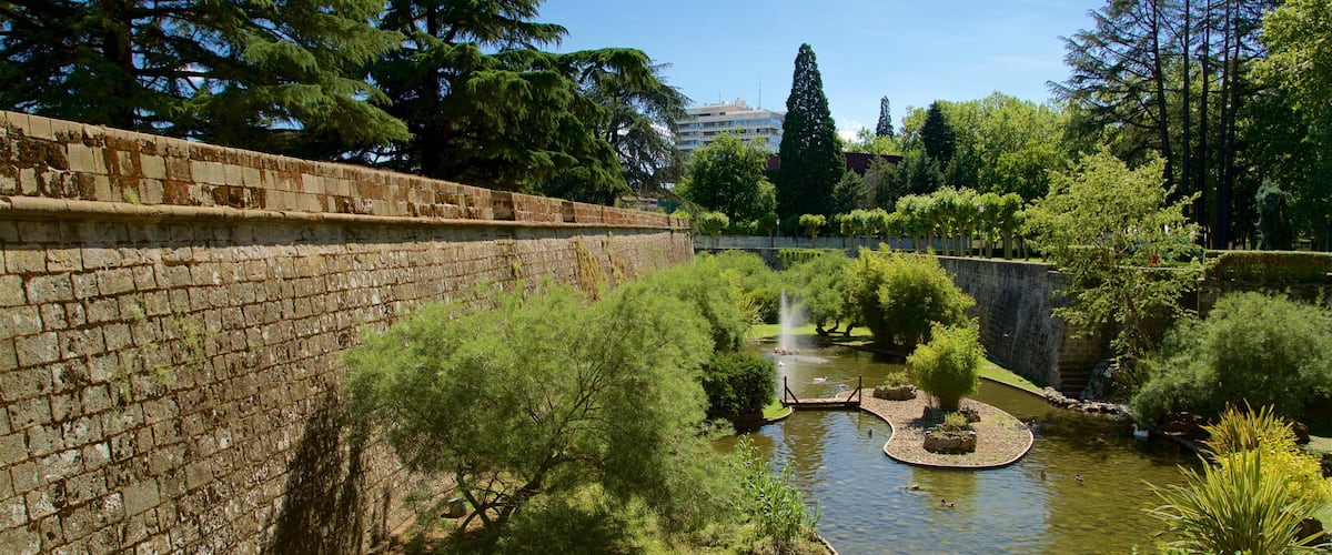 Parque de la Taconera showing a river or creek