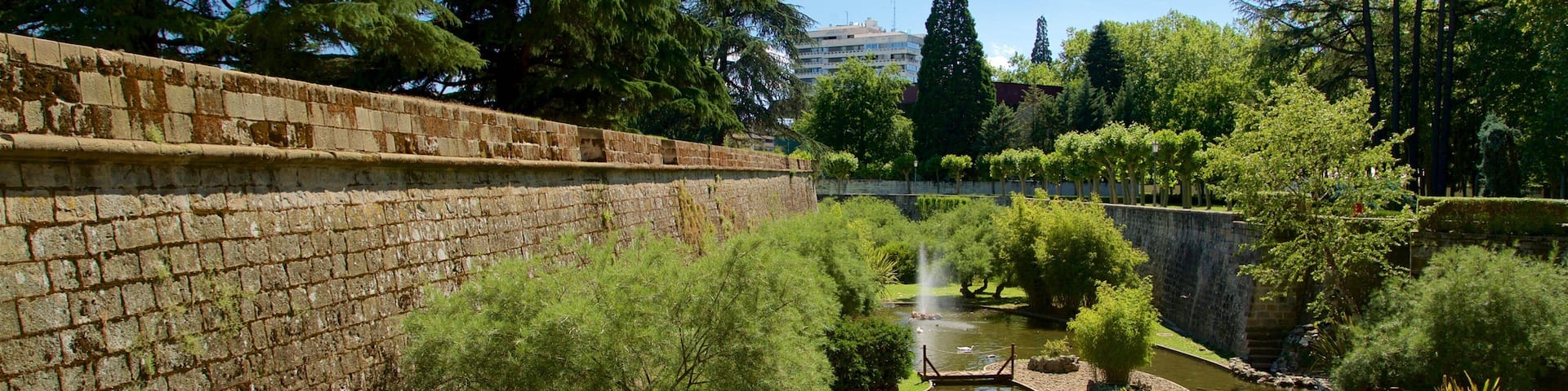 Parque de la Taconera showing a river or creek