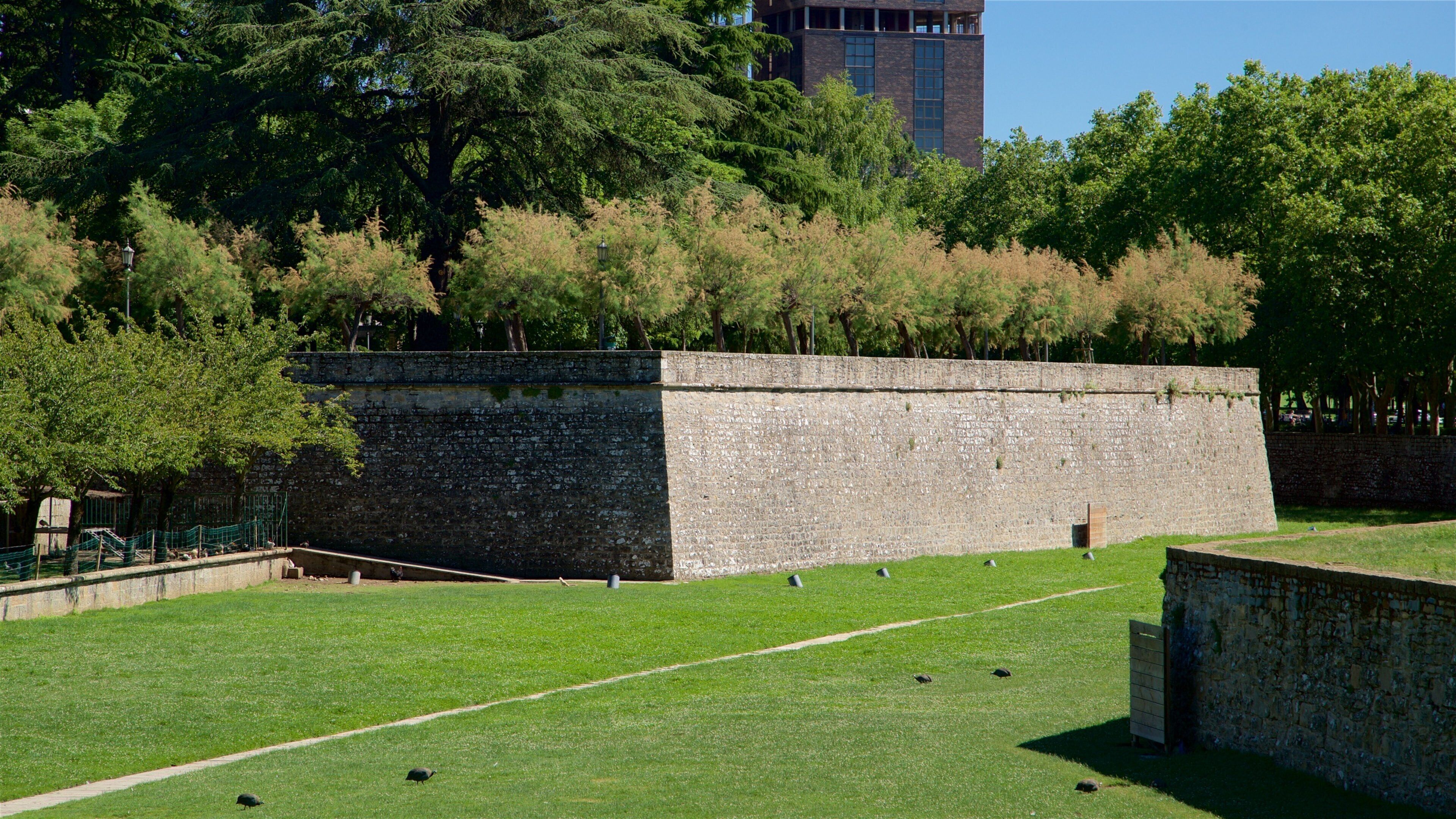 Parque de la Taconera which includes a garden and heritage elements