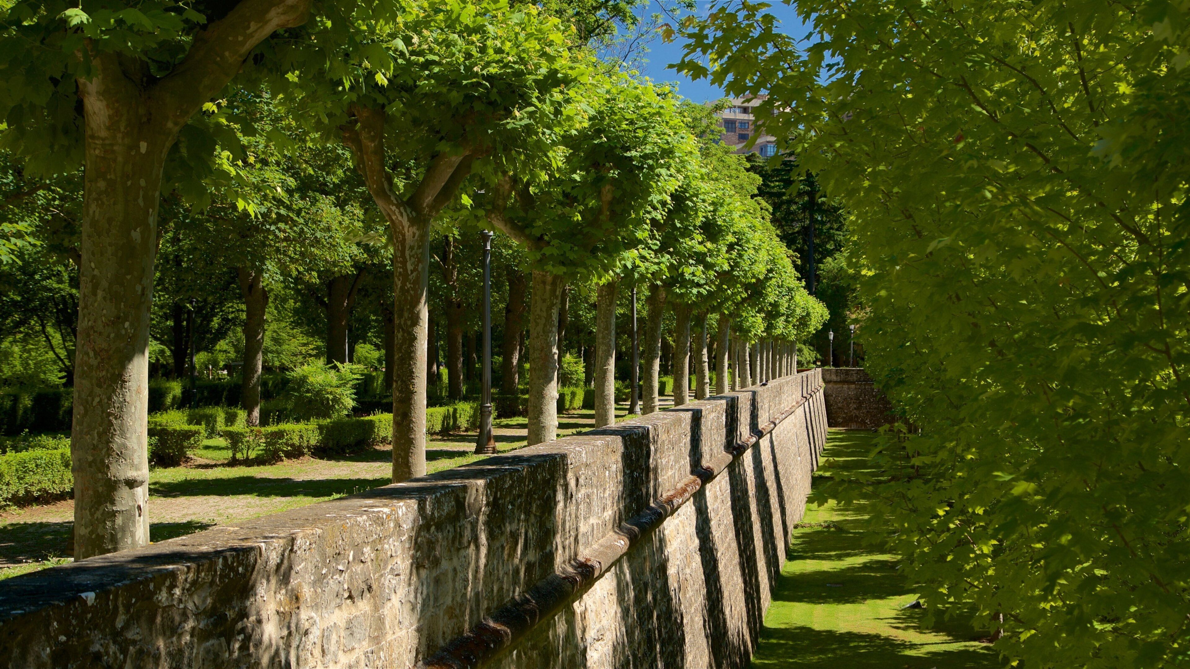 Parque de la Taconera featuring a park
