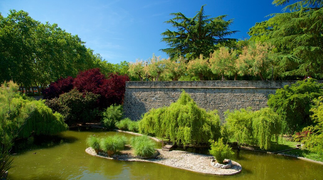 Parque de la Taconera which includes a park and a pond