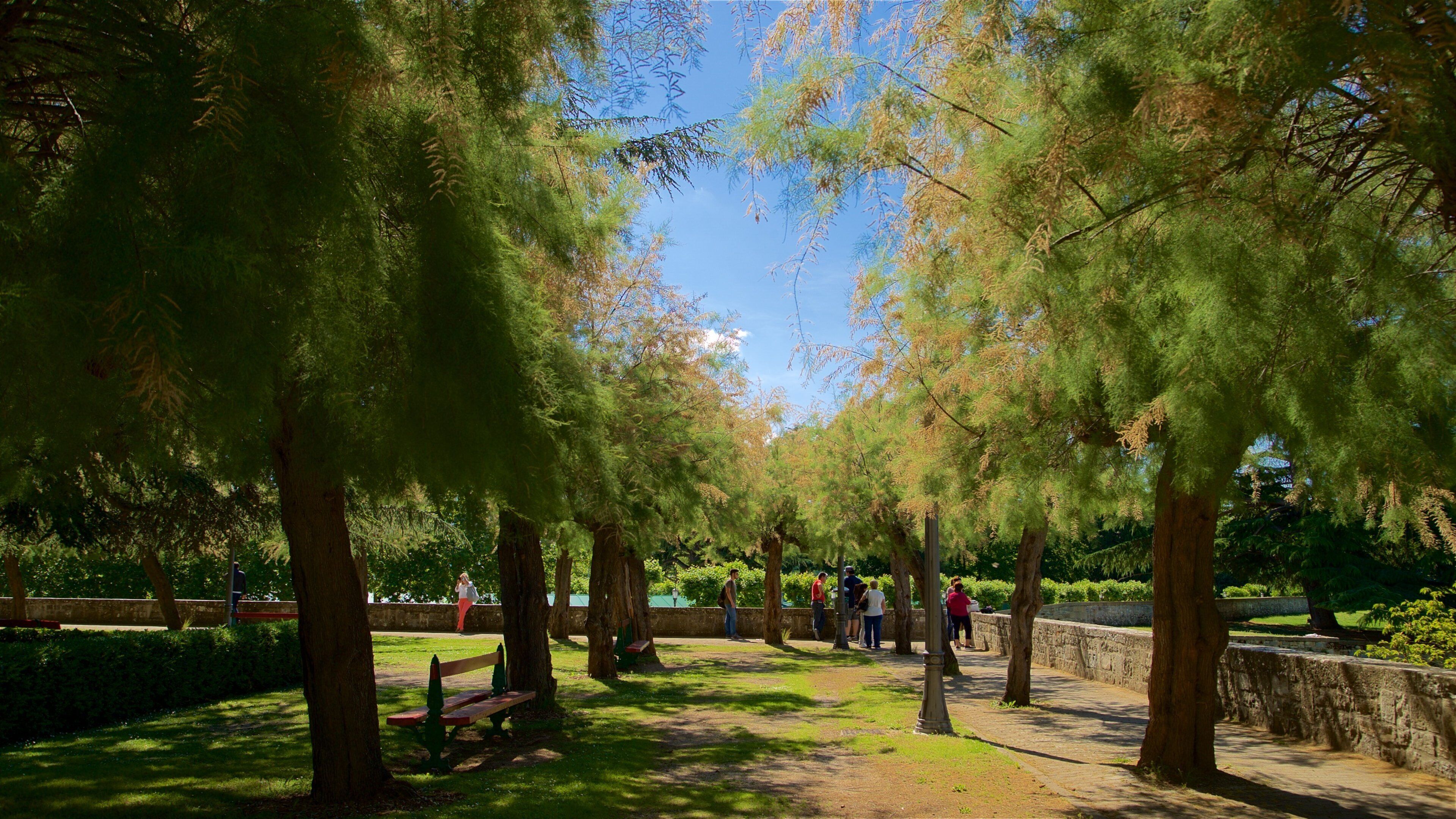 Parque de la Taconera featuring a park as well as a small group of people