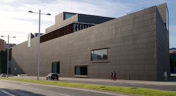 Palacio de Congresos and Auditorium of Navarra which includes street scenes as well as a couple