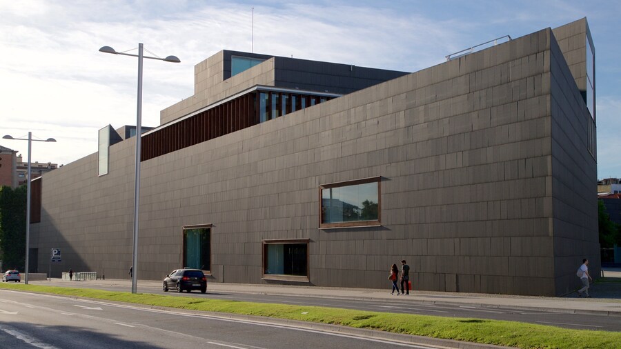 Palacio de Congresos and Auditorium of Navarra which includes street scenes as well as a couple